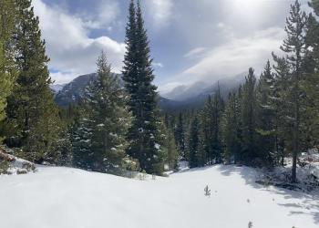 A forest scene with snow on the ground, clumps of snow in the branches of pine trees, a mountain in the distance, partly cloudy.