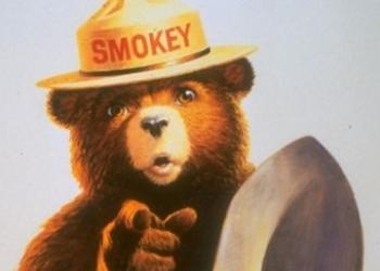 Smokey Bear - Pointing