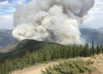 A large smoke column rises from the forest.