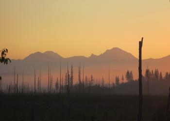 A burned, smokey area with a mountain in the background