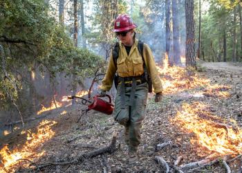 prescribed fire application