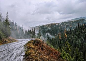 A forested road climbing into the mountains on a wet day