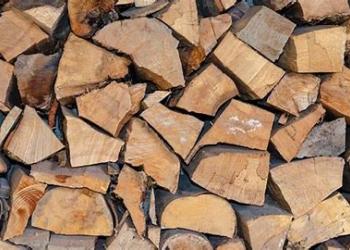 Stacked firewood
