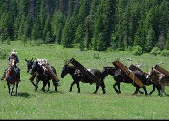 A horse rider leading a string of pack horses