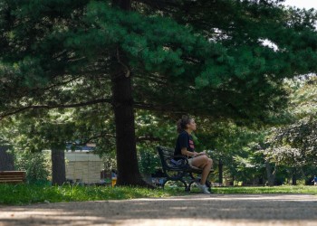 A woman sits on a park bench under a conifer evergreen tree, along an urban forest trail.