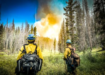 two firefighters look up at a looming smoke plume