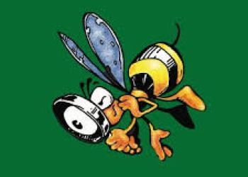 A cartoon bee looks through a magnifying glass.