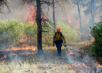 Firefighter with a drip torch
