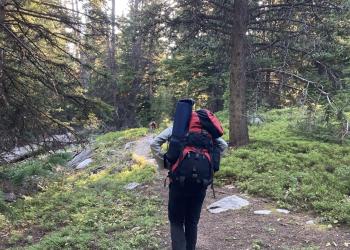 Hikers on a trail through the forest