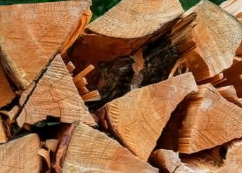 A stack of firewood
