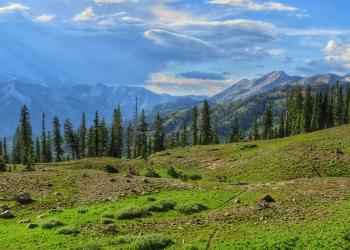 A landscape scene with trees, mountains and storm clouds on the horizon