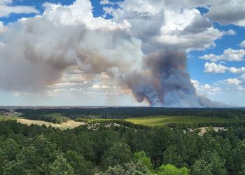 The smoke plume from the 201 East Fire in 2022 as seen from the Scott Lookout Tower.