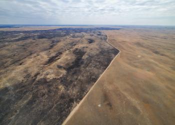An aerial view shows the sharp line between black, burned vegetation and unburned pasture.