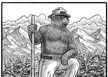 Black and white line drawing of Smokey Bear.