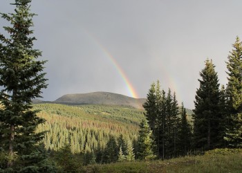 Rainbow dipping into the wilderness.