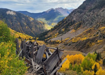 Fall Colors in La Plata Canyon