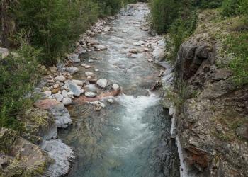 Vallecito Creek