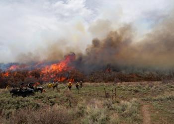 rx burn of west divide