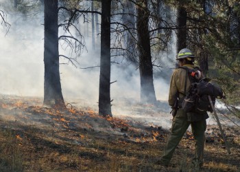 sotano-prescribed-fire