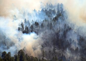 Smoke from the Tinder Fire is seen amidst pine trees east of the Moqui Fire Lookout Tower on April 30, 2018.
