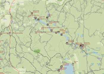 An image of a portion of the interactive online map of national forests.