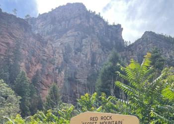 A yellow-and-brown wooden sign that reads Red Rock Secret Mountain Wilderness Coconino National Forest appears in front of a cluster of green ferns and a red canyon wall