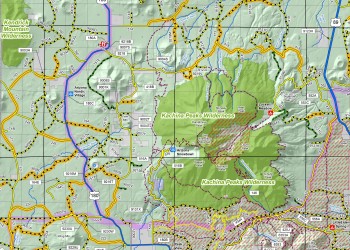 Image of a section of the Coconino NF Travel Map.