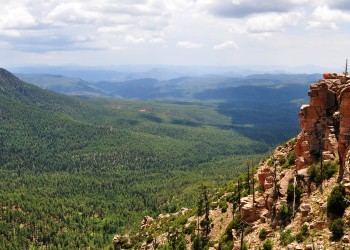 A view off a tall, red rock rim over a broad, sweeping expanse of pine forest