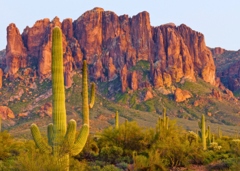 red plateau and cacti