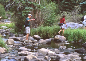 a group of hikers use large rocks to cross over a small creek