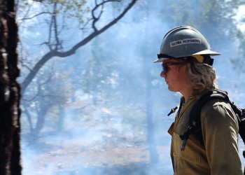 firefighter in forest walking thru smoke