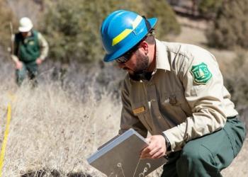 A man in a Forest Service uniform wearing a blue helmet crouches on the ground with a clipboard in hand looking at the ground.