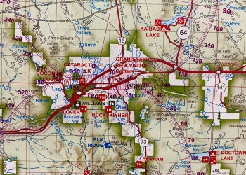 Example of forest visitor map