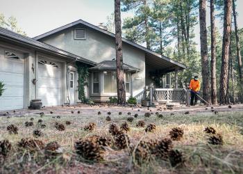 homeowner rakes debris in yard