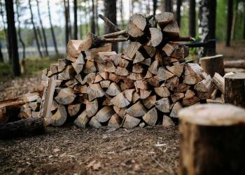 Pile of wood