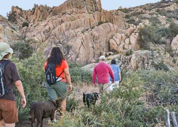 Four hikers on a trail headed towards a rocky hill.