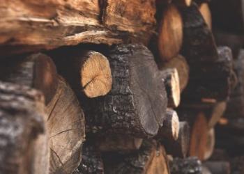 Stacked up firewood
