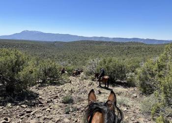Over looking the Mazatzal Wilderness with horses in the foreground.