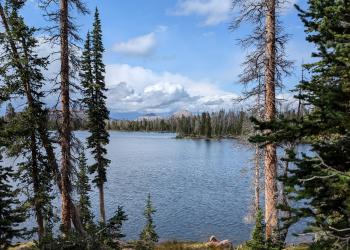 Photo of Lake surrounded by trees with clouds in background