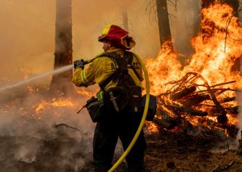 Wildland Firefighter holding hose
