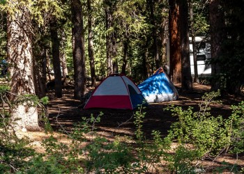 Tents are shown in a dispersed camping area on the Fishlake National Forest