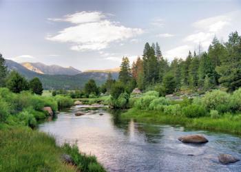 Photograph of a river with trees on the banks