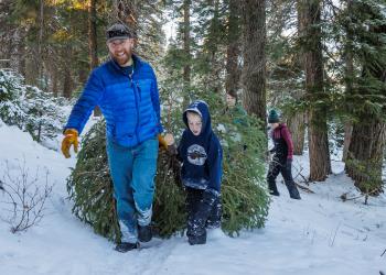A family cuts a Christmas Tree in the woods in the winter.