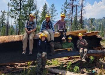 Young adults in long sleeve shirts, long pants, and hard hats sit atop and inside a very larged hollowed out tree downed in a sparsley forested area.