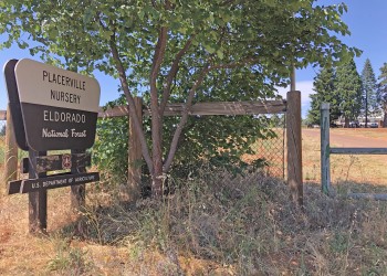 Placerville Nursery sign near a tree and fence