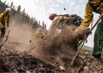 wildland firefighters dig a fireline