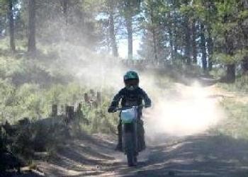 A motorbike kicks up dust as a rider drives on a gravel road in a forested area.
