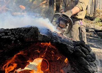 A firefighter saws into a burning log