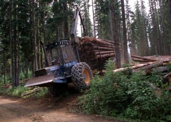 A picture of a tractor holding logs in a forest.