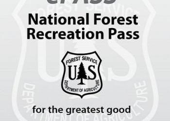 gray and white epass with logo